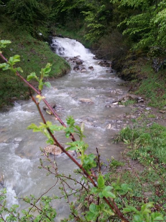 Albergue Armaia Artepea Urzainqui Zewnętrze zdjęcie